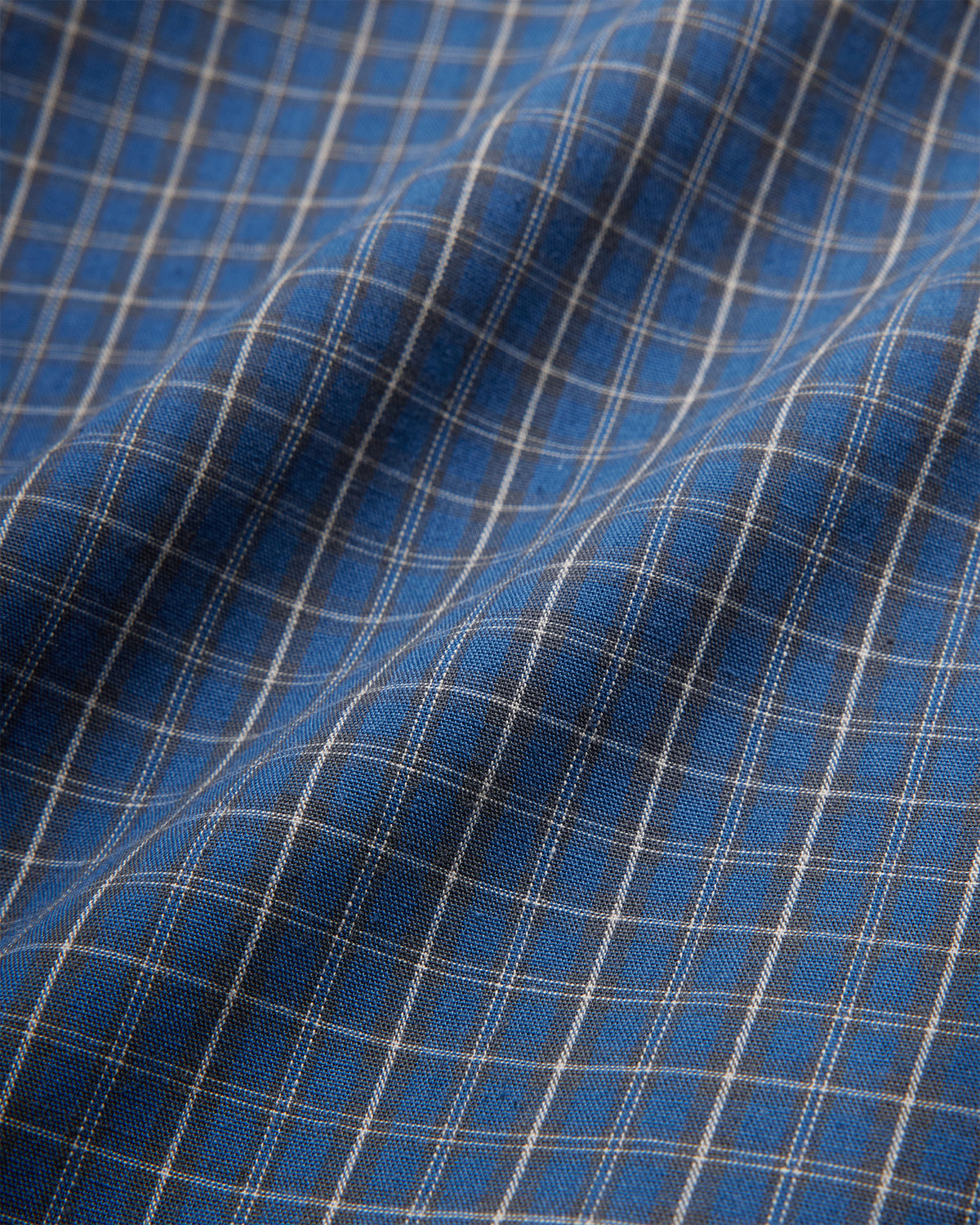 Ivy Check Shirt